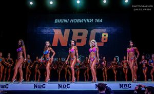 BIKINI НОВИЧКИ 164